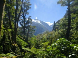 novy_zeland_fiordland letenky na nový zéland