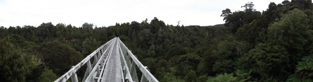 Viadukt na Hump Ridge Tracku